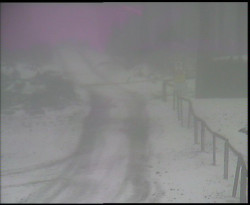 Nástup na běžecké tratě