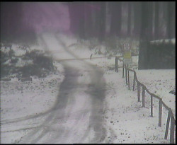 Nástup na běžecké tratě