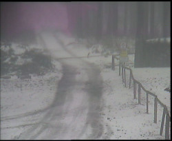 Nástup na běžecké tratě