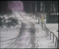 Nástup na běžecké tratě