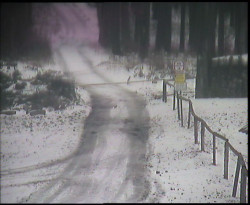 Nástup na běžecké tratě