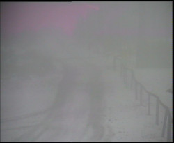 Nástup na běžecké tratě