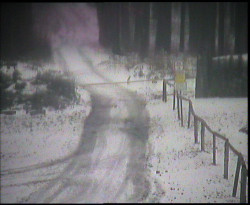 Nástup na běžecké tratě