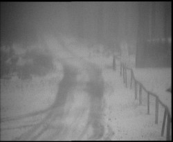 Nástup na běžecké tratě