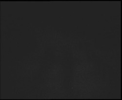 Nástup na běžecké tratě