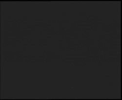 Nástup na běžecké tratě