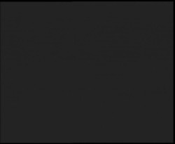 Nástup na běžecké tratě