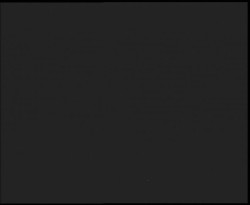 Nástup na běžecké tratě