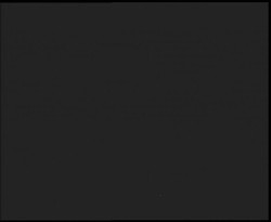 Nástup na běžecké tratě