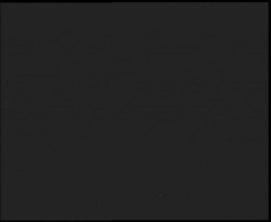 Nástup na běžecké tratě