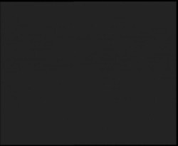 Nástup na běžecké tratě