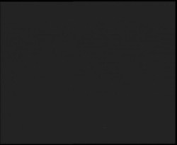 Nástup na běžecké tratě