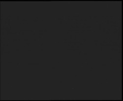 Nástup na běžecké tratě