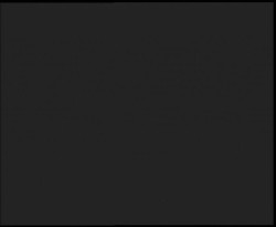 Nástup na běžecké tratě