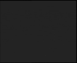 Nástup na běžecké tratě