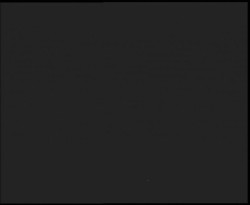 Nástup na běžecké tratě