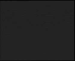 Nástup na běžecké tratě