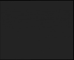 Nástup na běžecké tratě