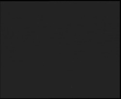 Nástup na běžecké tratě