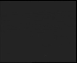 Nástup na běžecké tratě