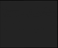 Nástup na běžecké tratě