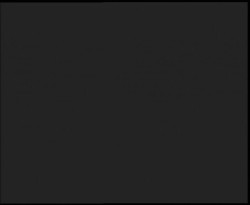 Nástup na běžecké tratě