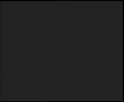 Nástup na běžecké tratě