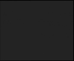 Nástup na běžecké tratě