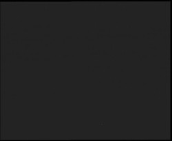 Nástup na běžecké tratě