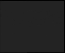 Nástup na běžecké tratě