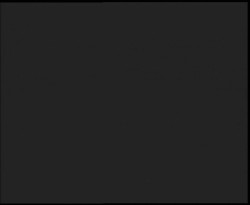 Nástup na běžecké tratě