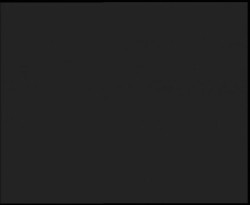 Nástup na běžecké tratě