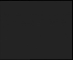 Nástup na běžecké tratě