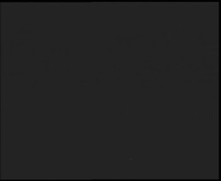 Nástup na běžecké tratě