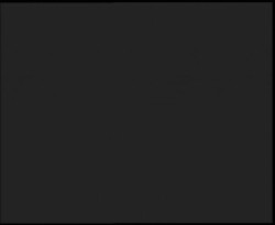 Nástup na běžecké tratě