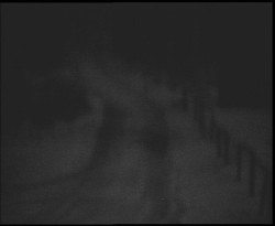 Nástup na běžecké tratě