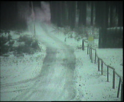 Nástup na běžecké tratě