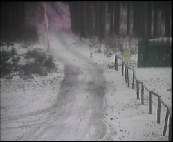 Nástup na běžecké tratě