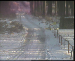Nástup na běžecké tratě