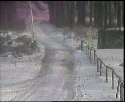 Nástup na běžecké tratě