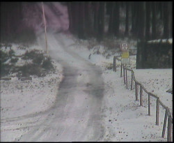 Nástup na běžecké tratě