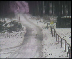 Nástup na běžecké tratě