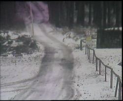 Nástup na běžecké tratě