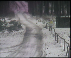 Nástup na běžecké tratě