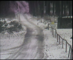 Nástup na běžecké tratě