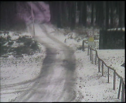 Nástup na běžecké tratě