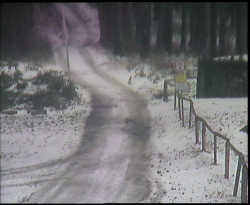 Nástup na běžecké tratě