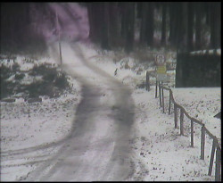 Nástup na běžecké tratě