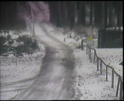 Nástup na běžecké tratě