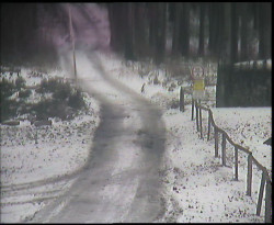 Nástup na běžecké tratě